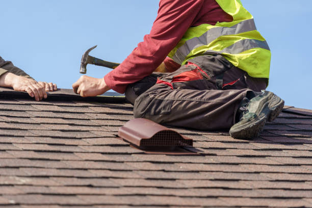 Best Roof Gutter Cleaning  in Vine Hill, CA